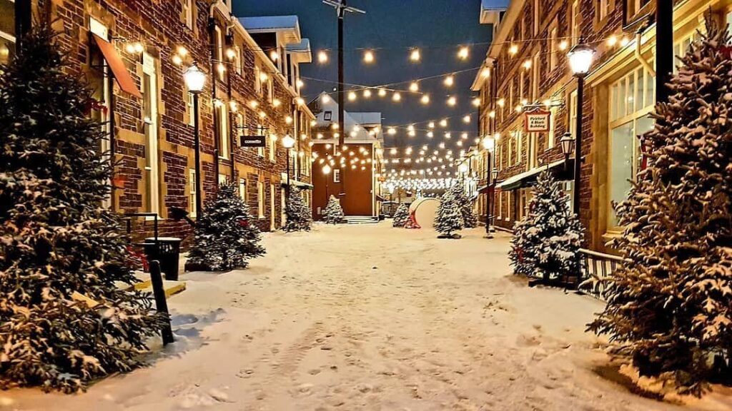 Corporate Stays pet friendly apartments halifax